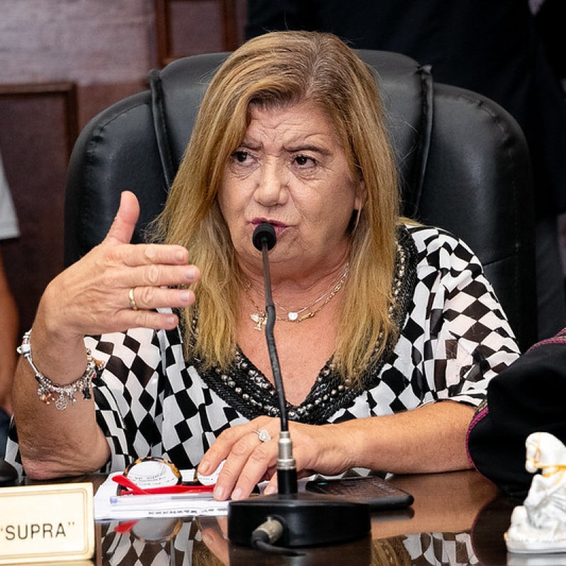 Denise da Supra — vereadora de Uberaba, foto oficial da Câmara