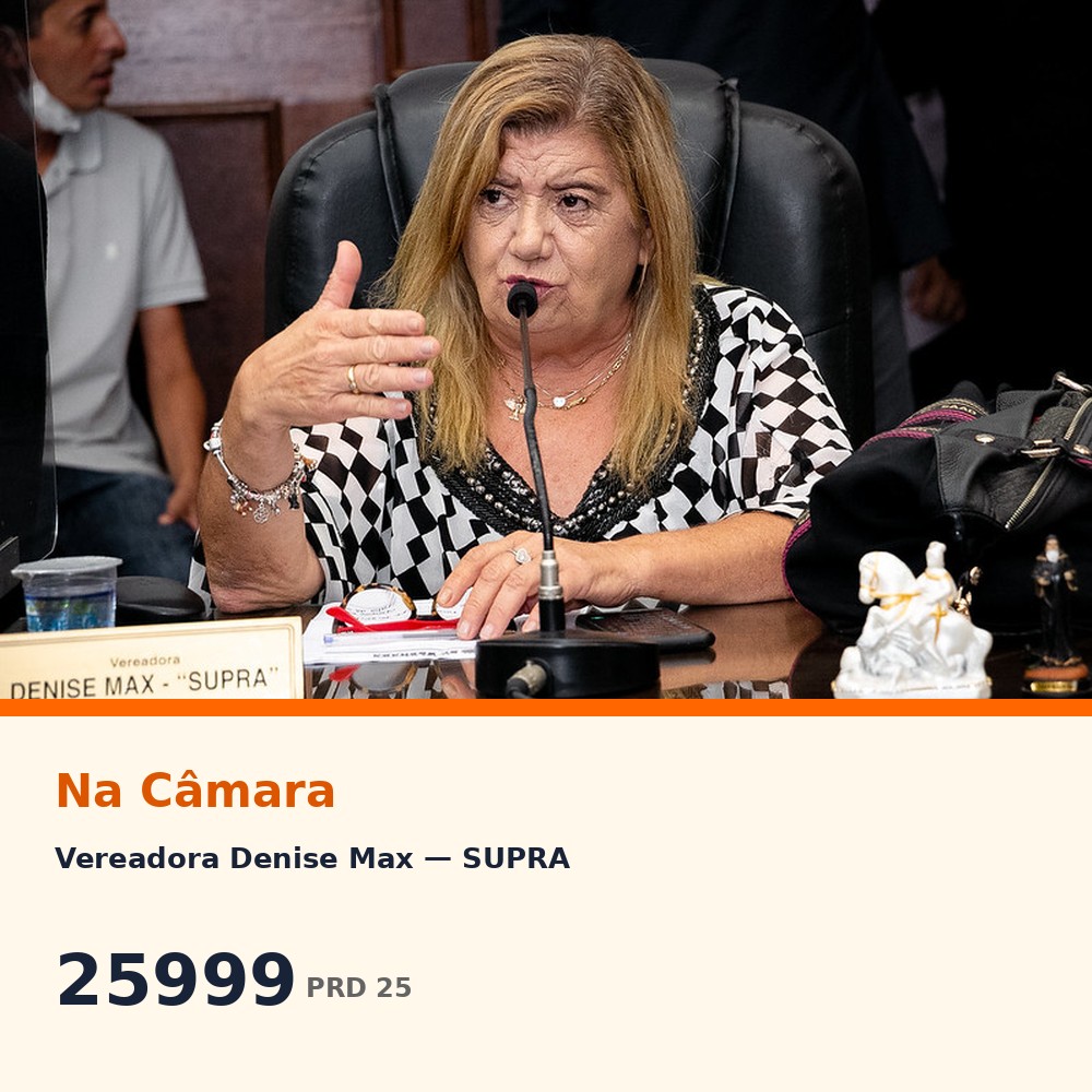 Denise Max SUPRA em sessão na Câmara